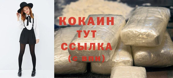 винт Горно-Алтайск