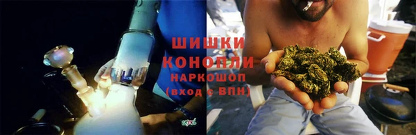 тгк Горнозаводск