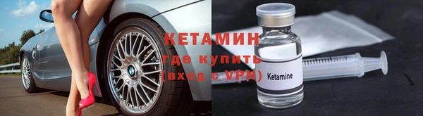 прущие грибы Дмитровск