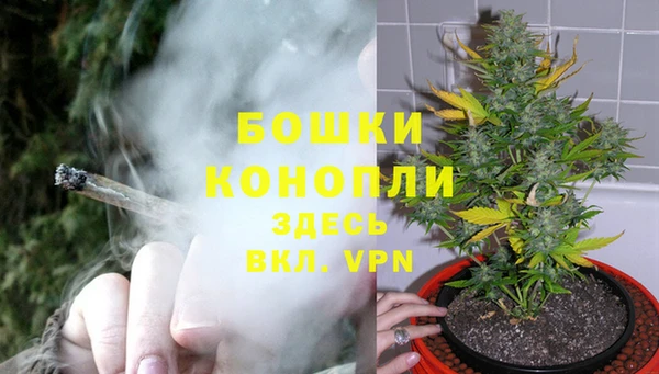 тгк Горнозаводск