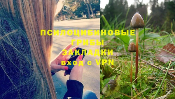 меф VHQ Гусев