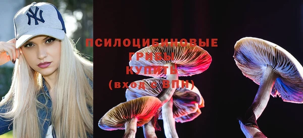 винт Горно-Алтайск