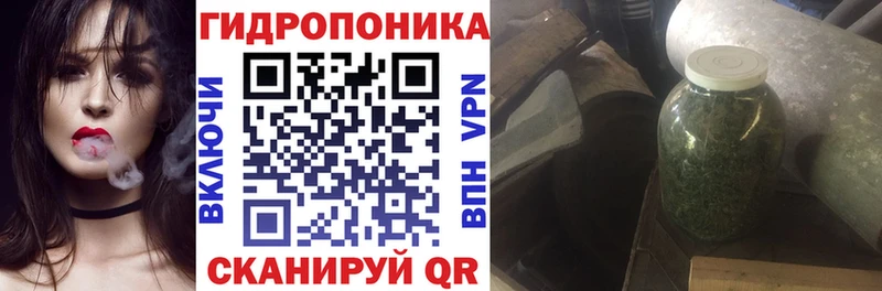 Каннабис OG Kush  Елизово 